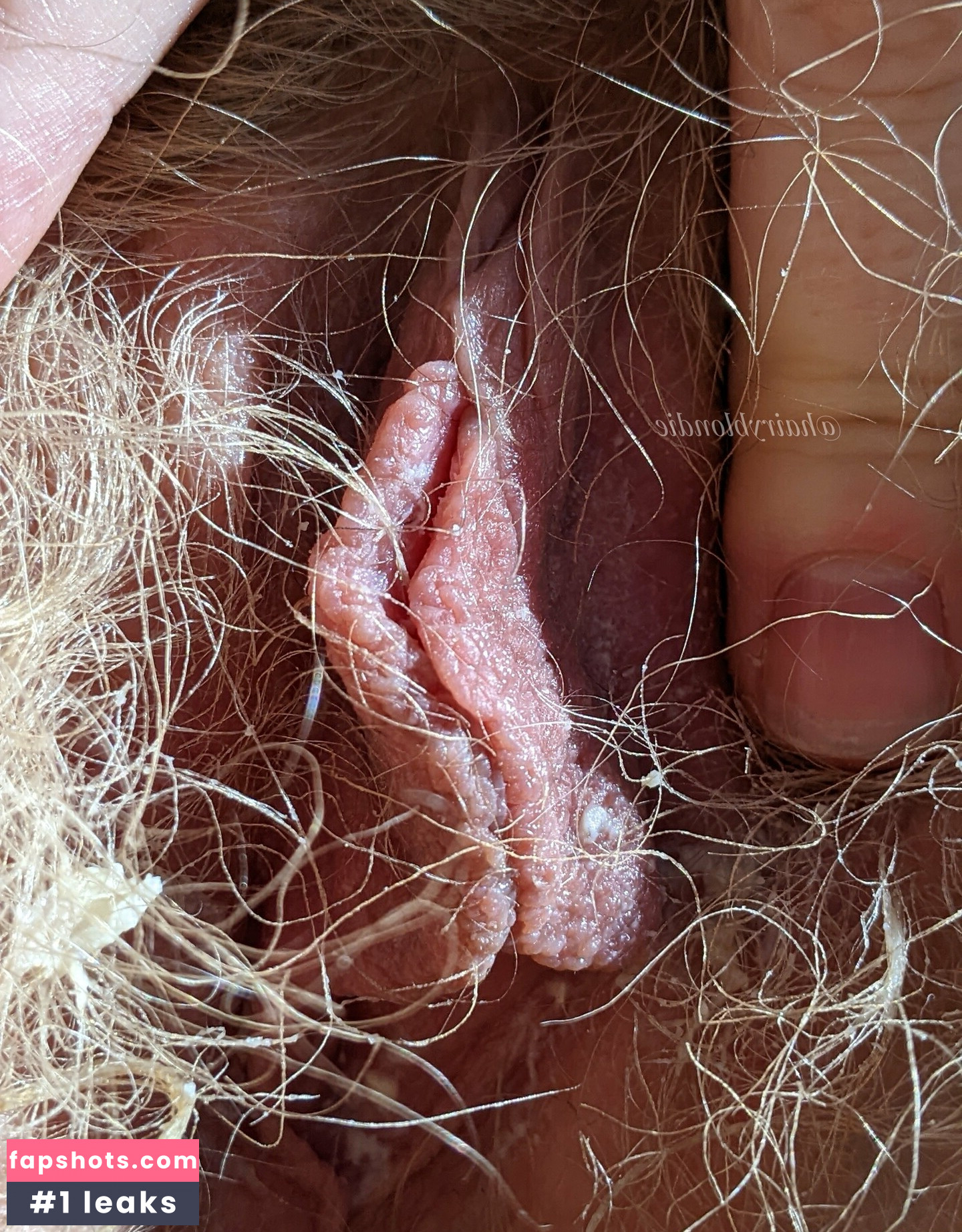 Hairyblondie gallery photo #37