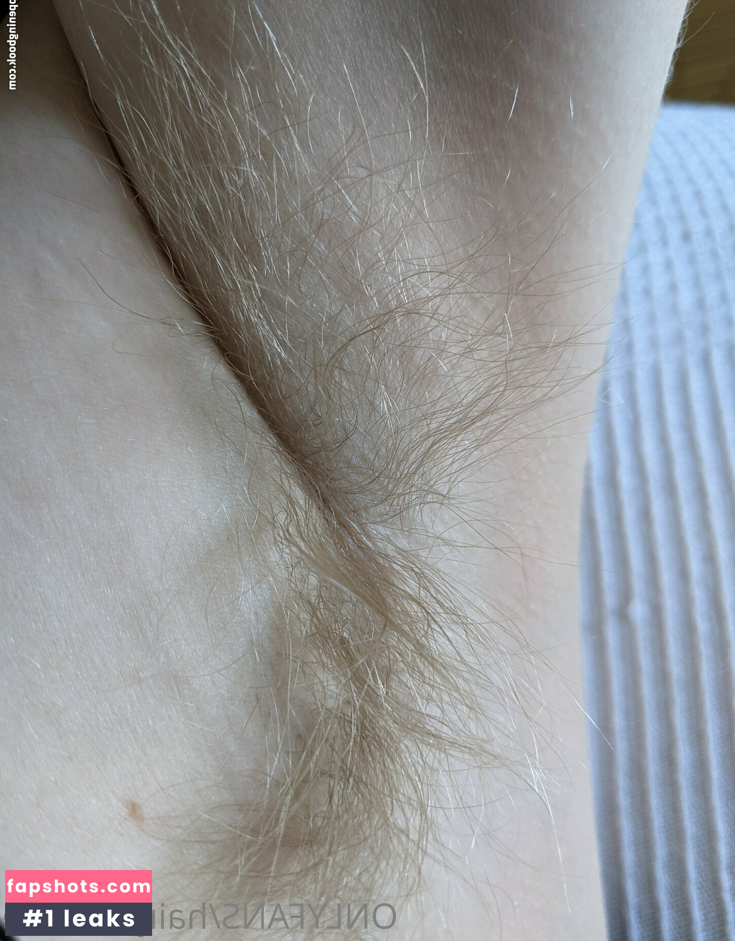 Hairyblondie gallery photo #46