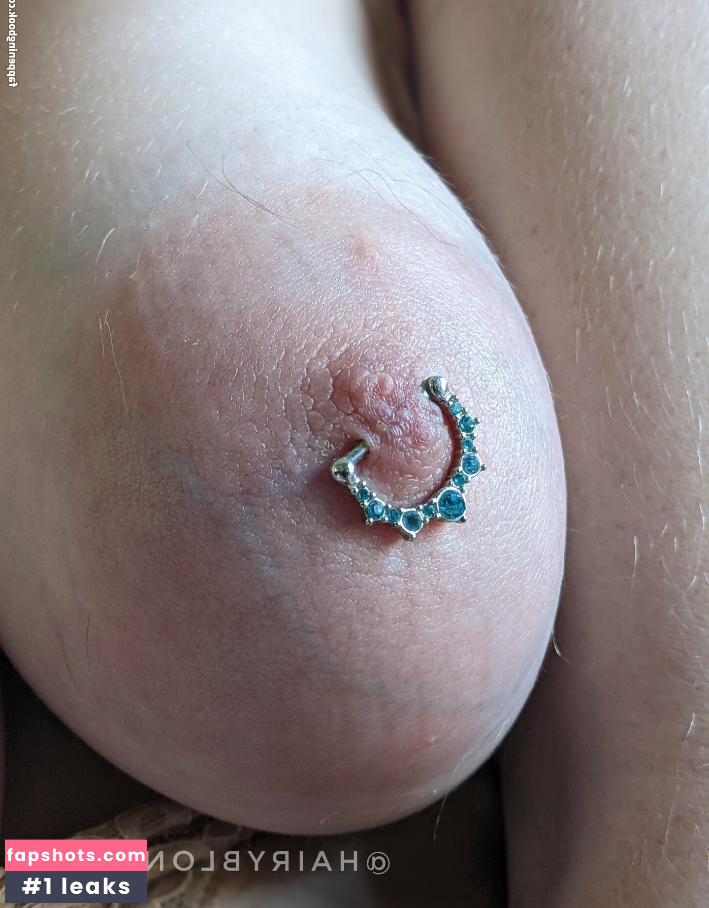 Hairyblondie gallery photo #52