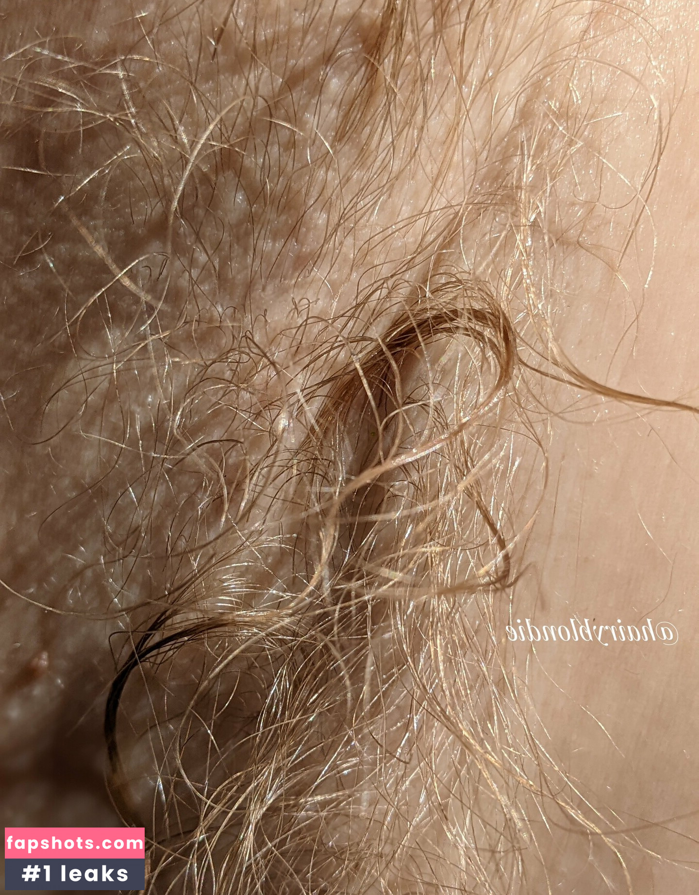 Hairyblondie gallery photo #55