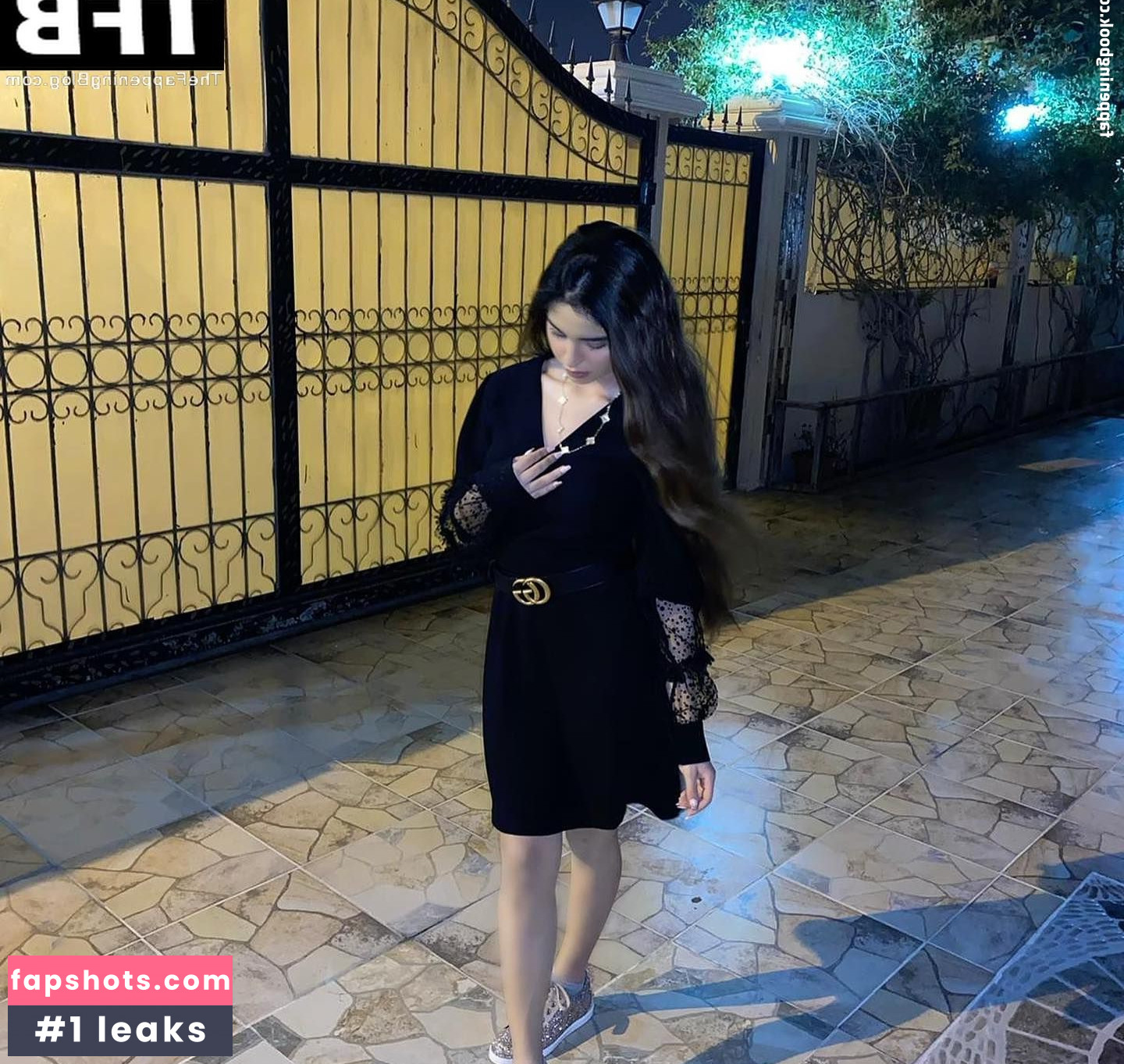 Hala Al Turk gallery photo #4