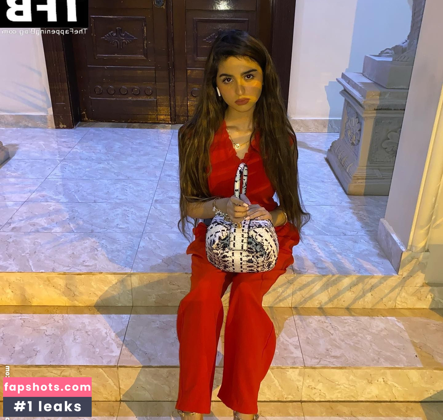 Hala Al Turk gallery photo #8