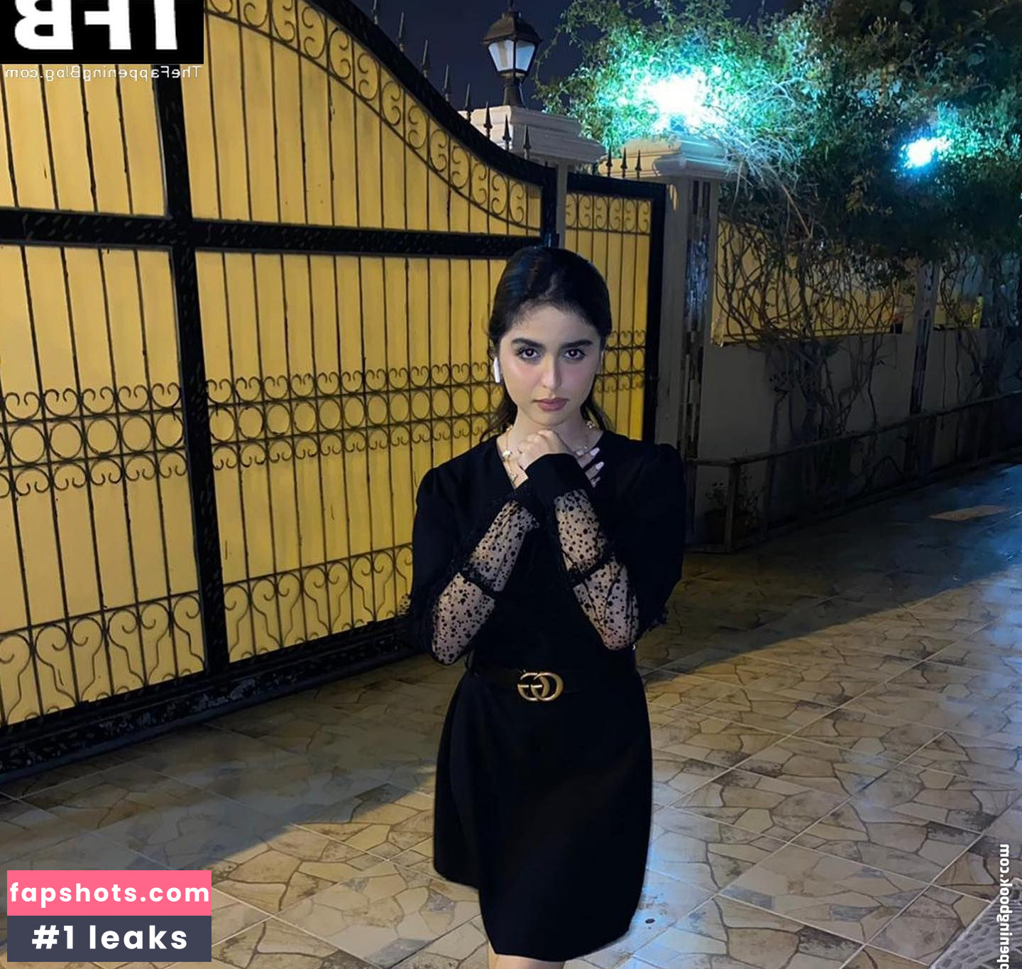 Hala Al Turk gallery photo #9