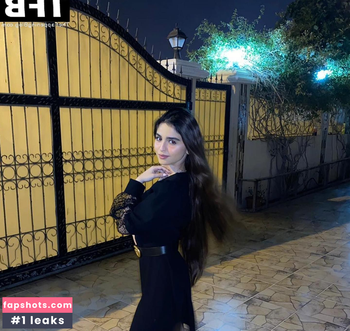 Hala Al Turk gallery photo #10