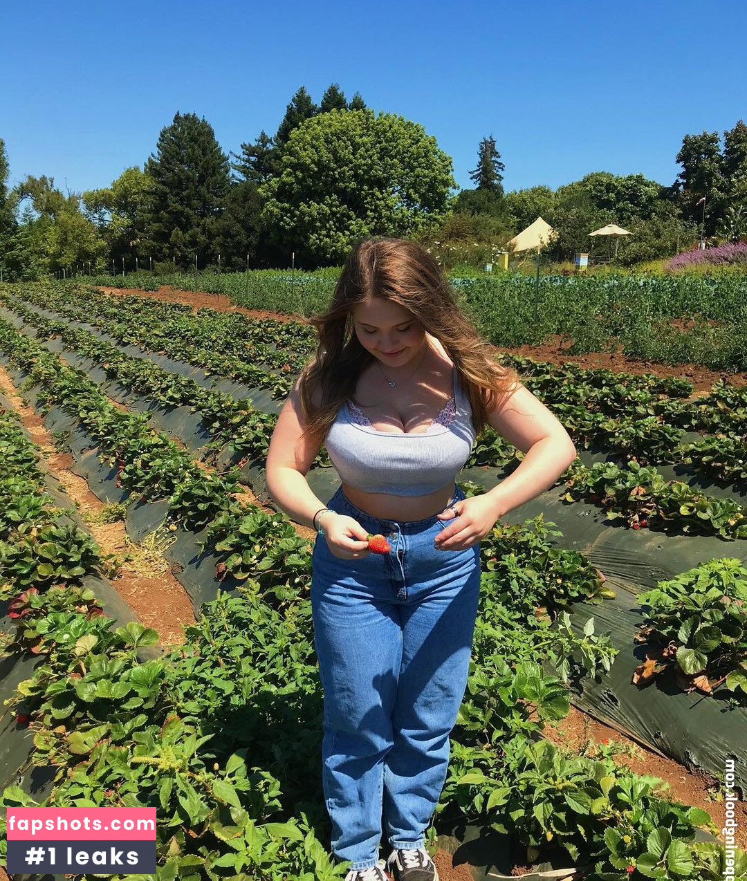 Haley E gallery photo #4