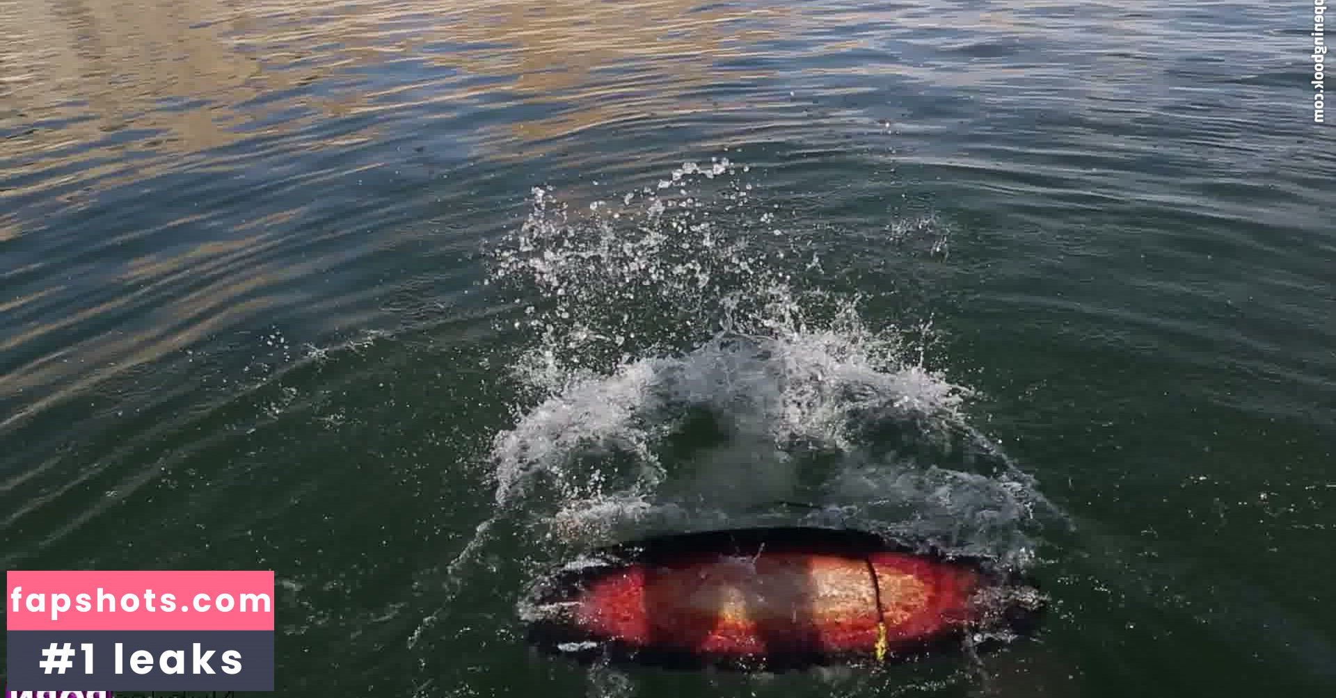 Haley Reed gallery photo #57