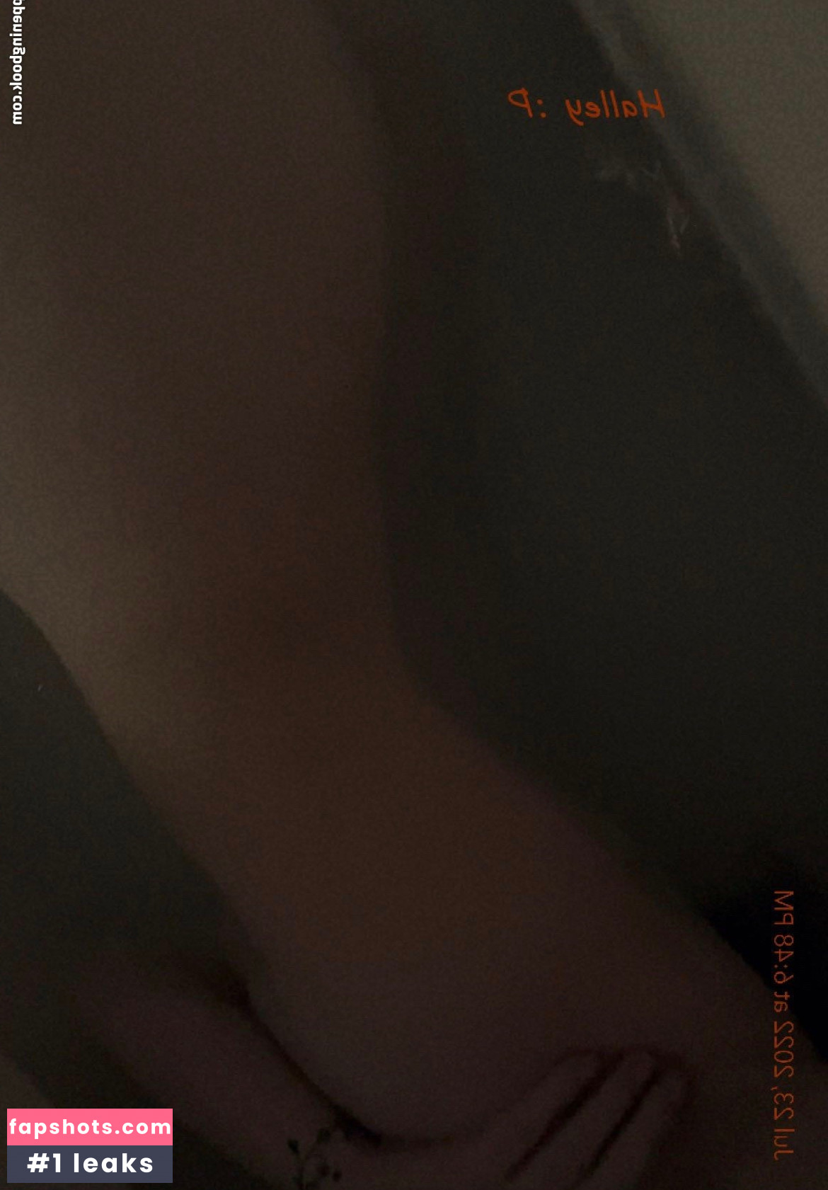 Halley gallery photo #28