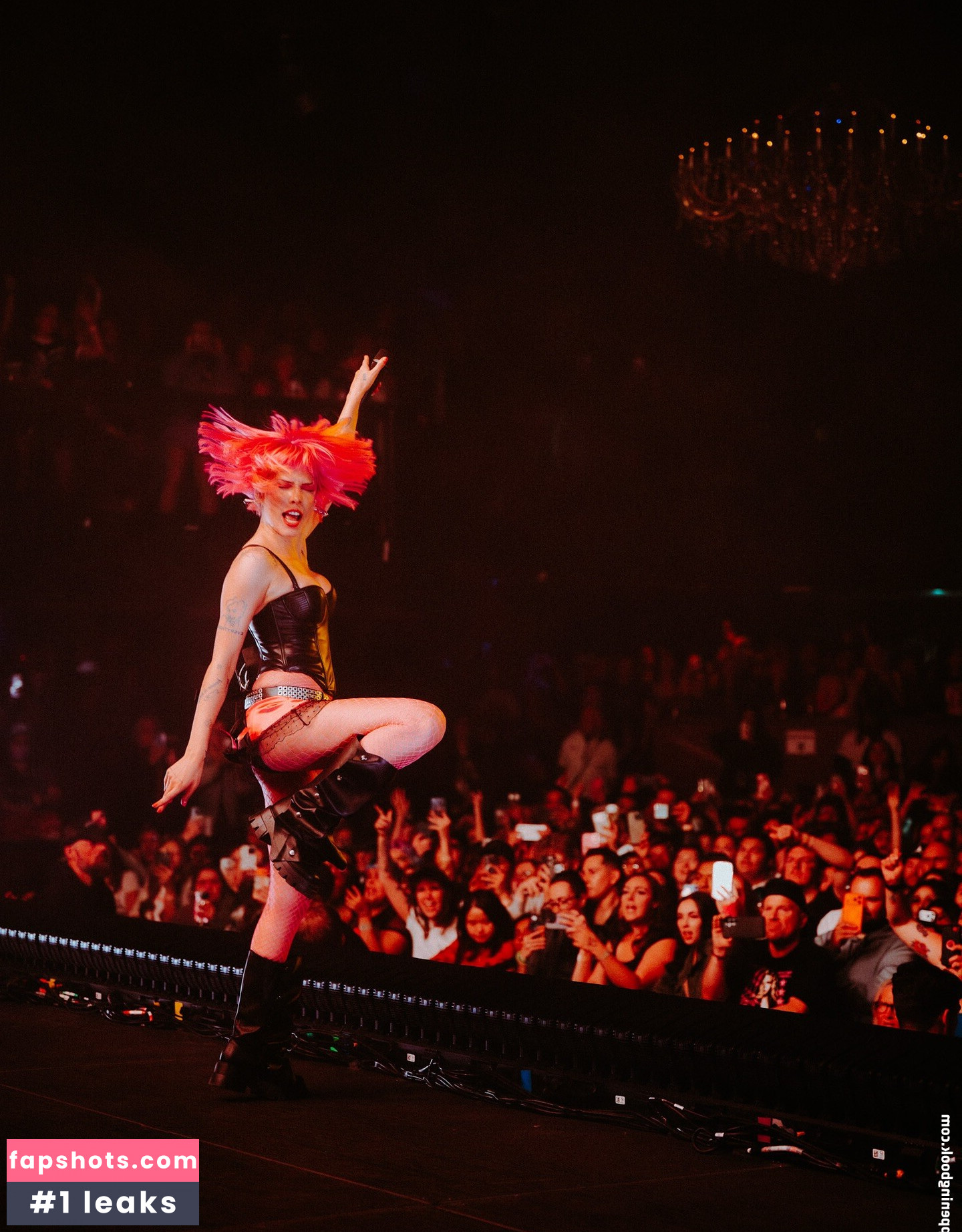 Halsey gallery photo #12