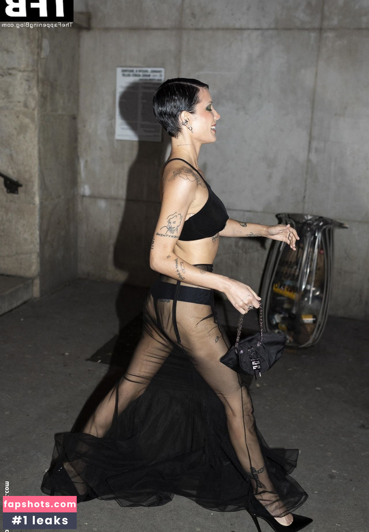 Halsey gallery photo #203