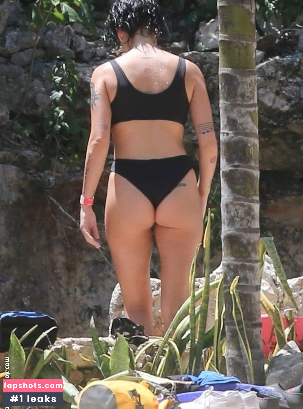 Halsey gallery photo #400