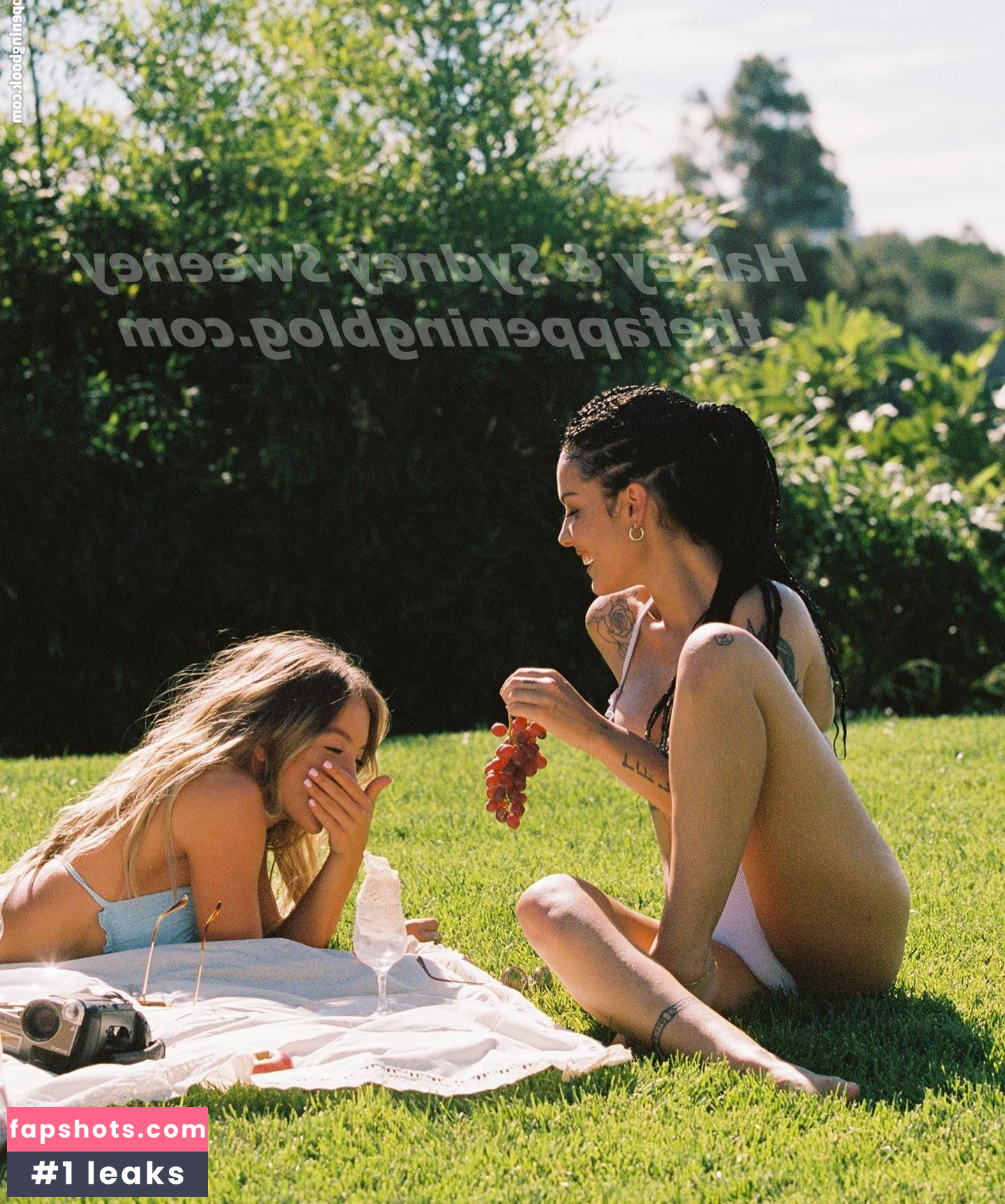 Halsey gallery photo #479