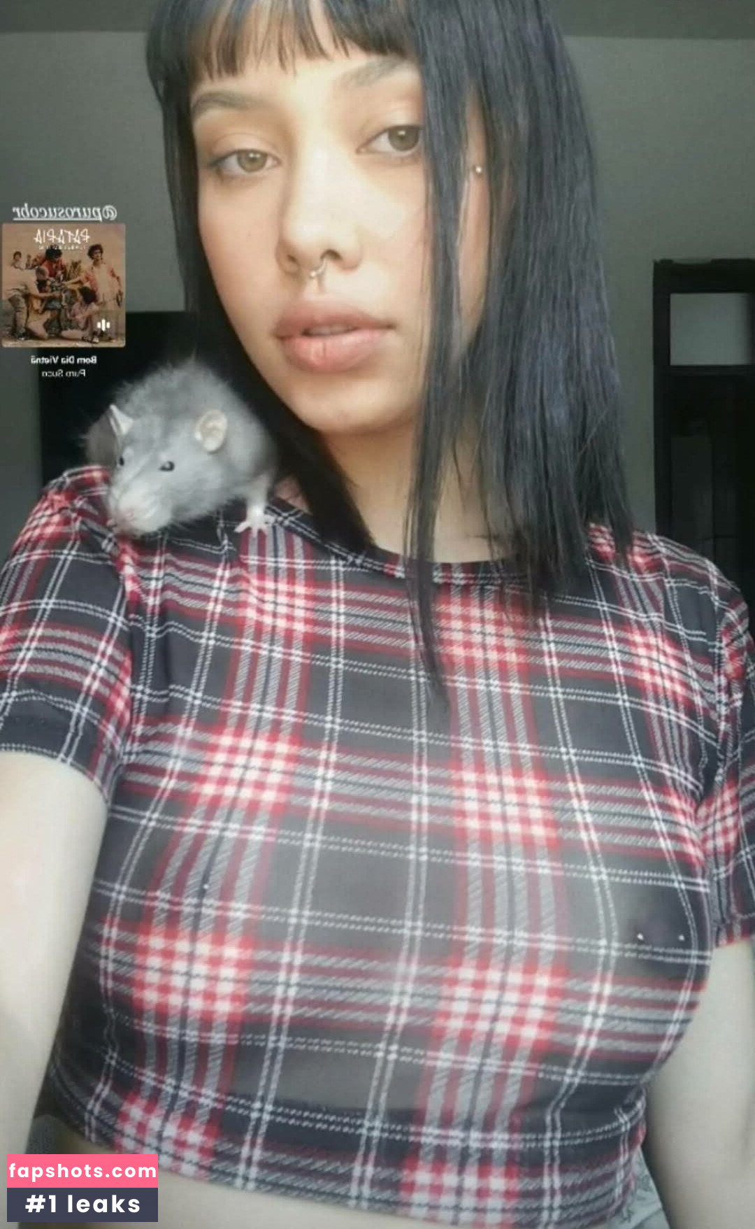 Hamburguita gallery photo #19