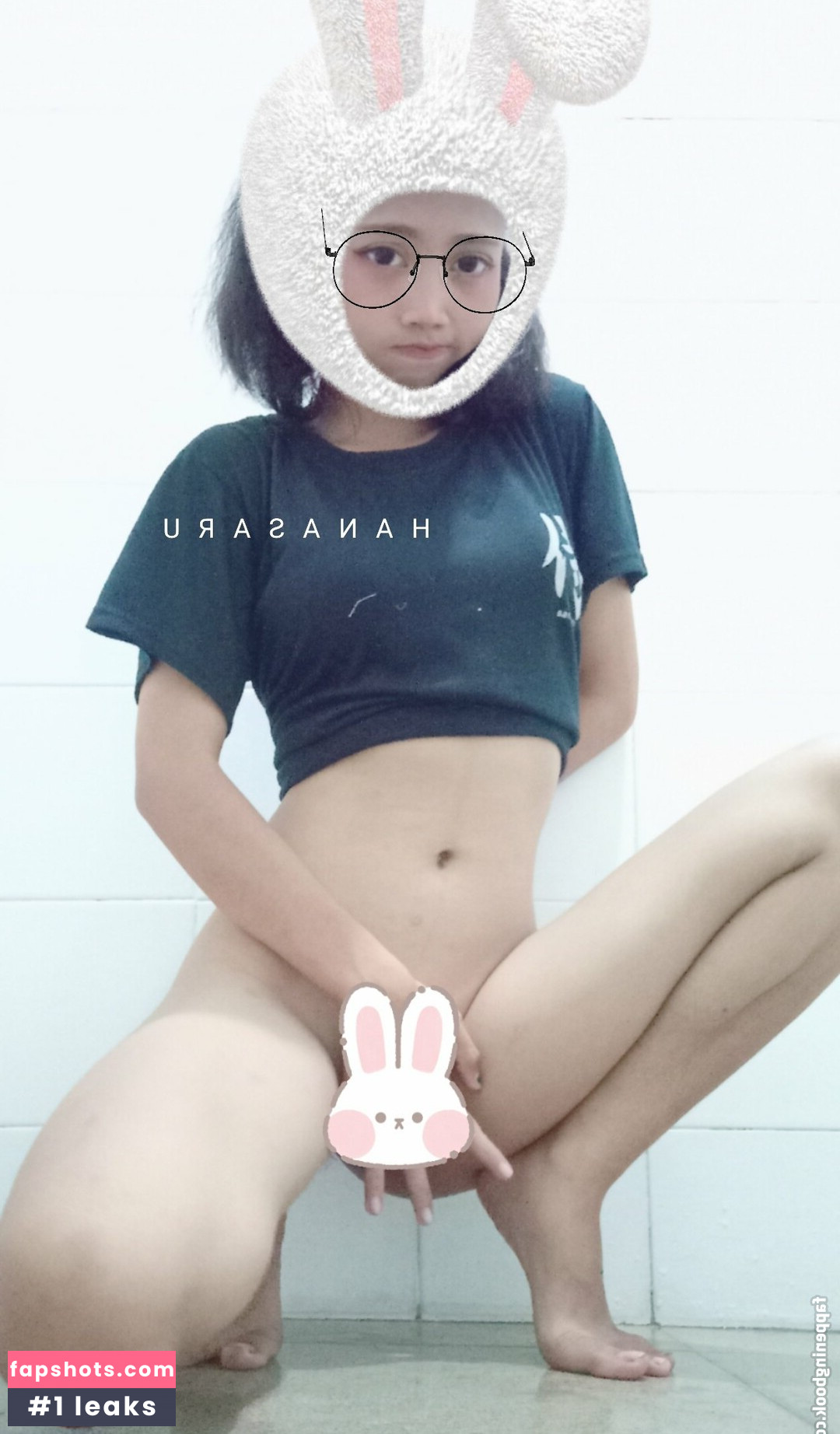 hanasaru gallery photo #11