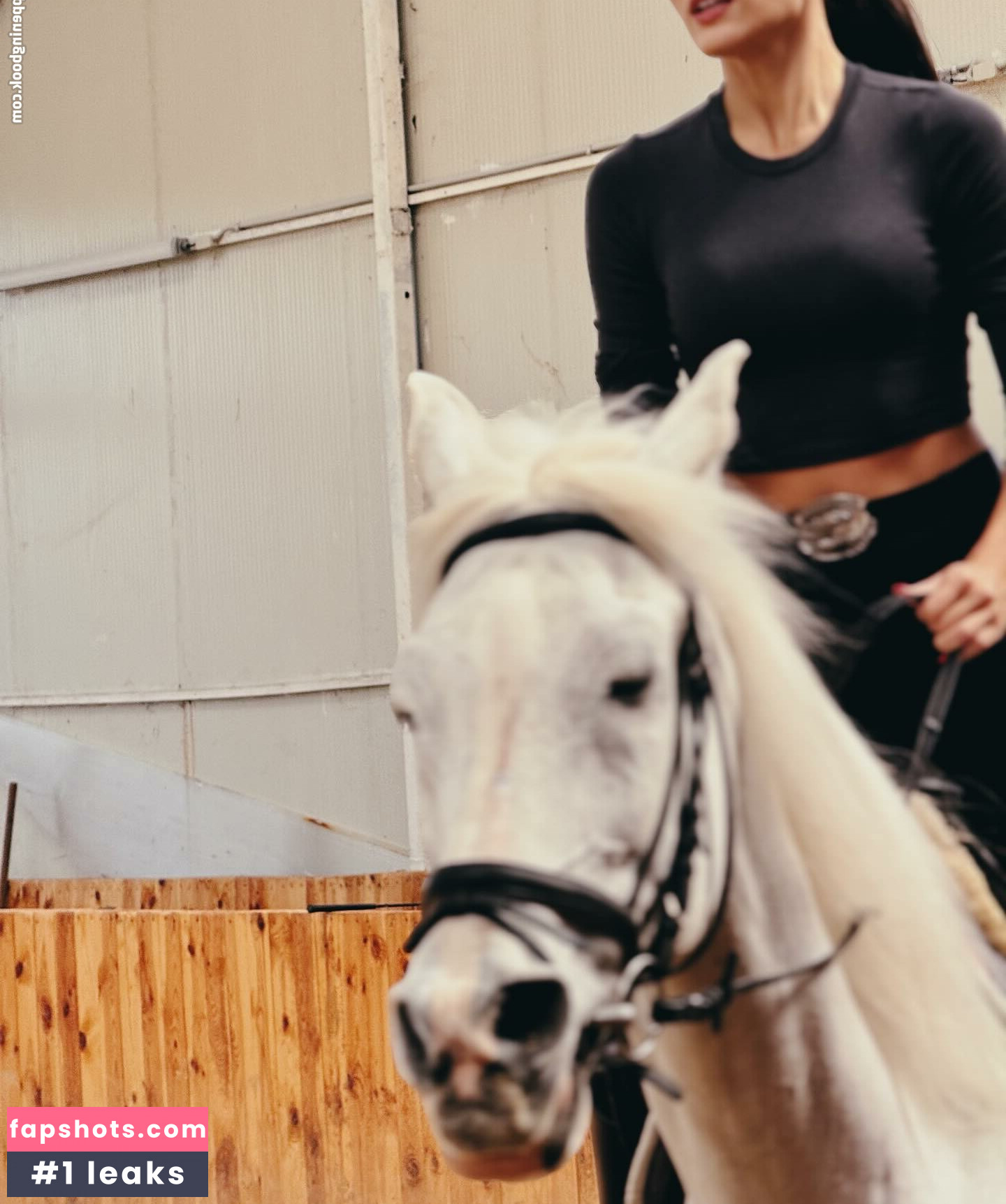 Hande Ercel gallery photo #56