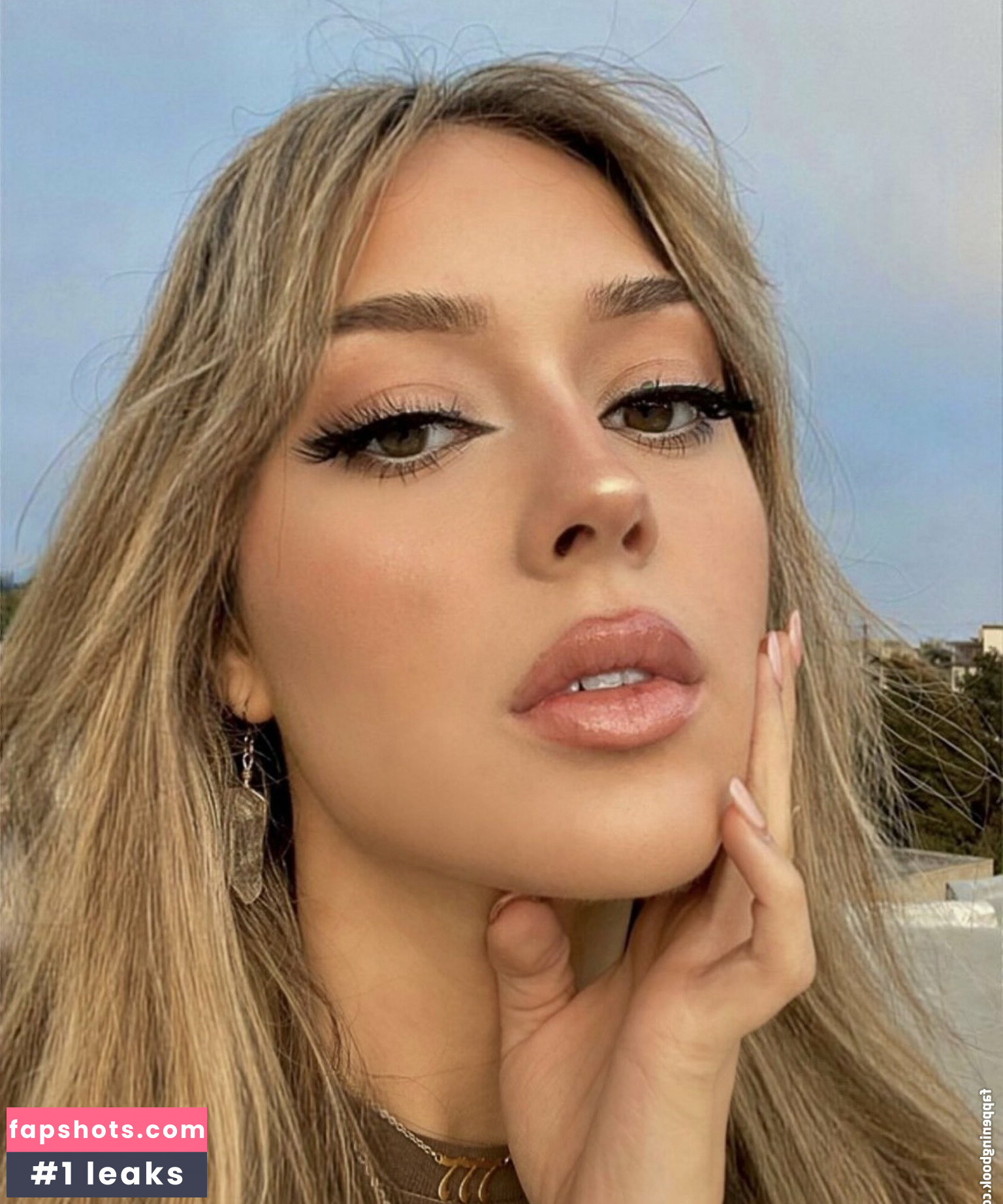 Hanhuts gallery photo #53