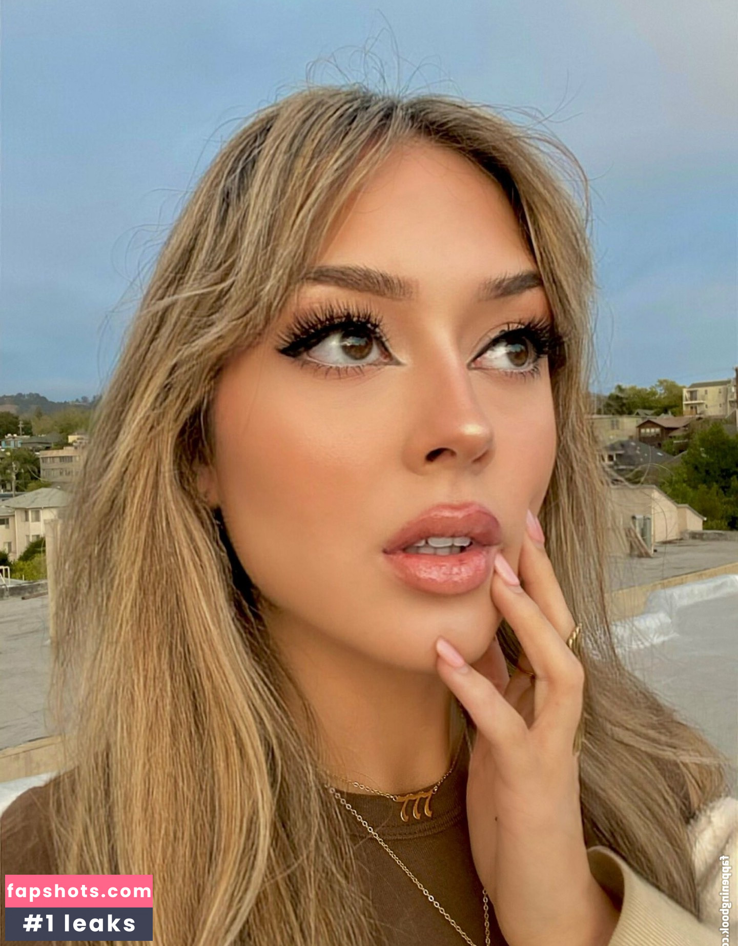 Hanhuts gallery photo #8