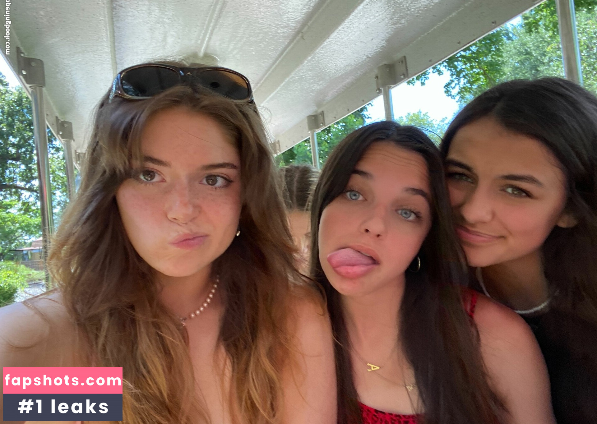 Hannah Stein gallery photo #24