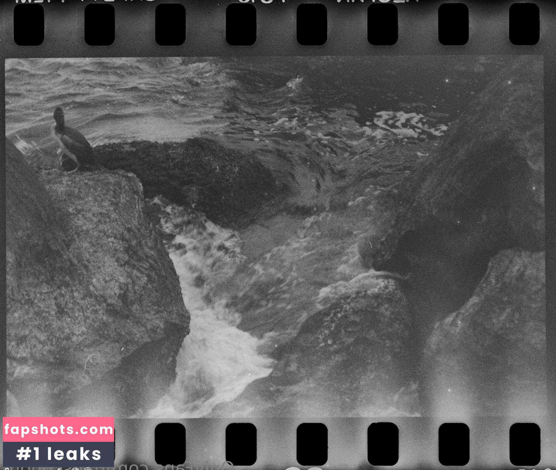 hanscphoto Nude Leaks OnlyFans Photos #43 - LeakJerk