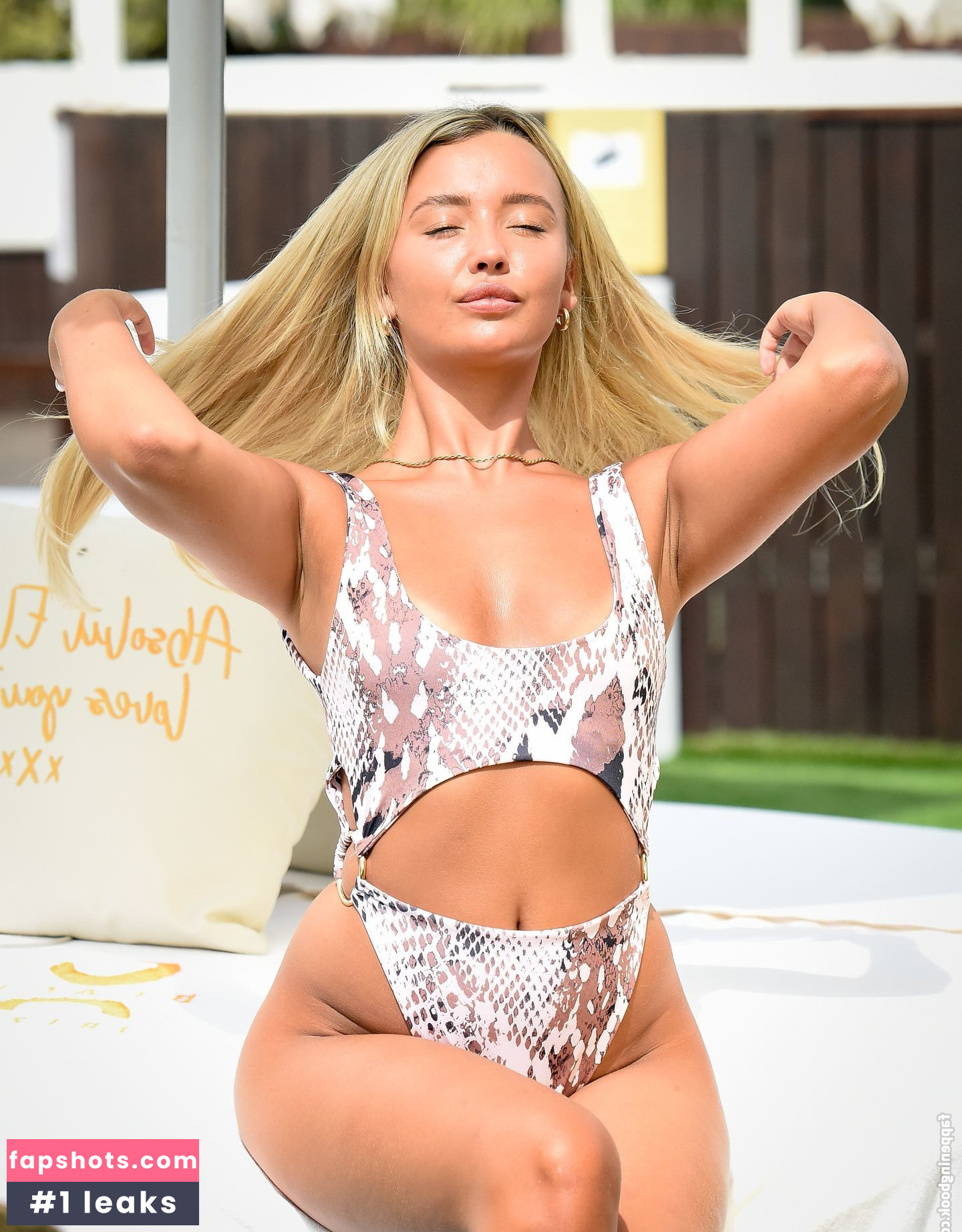 Harley Brash gallery photo #20