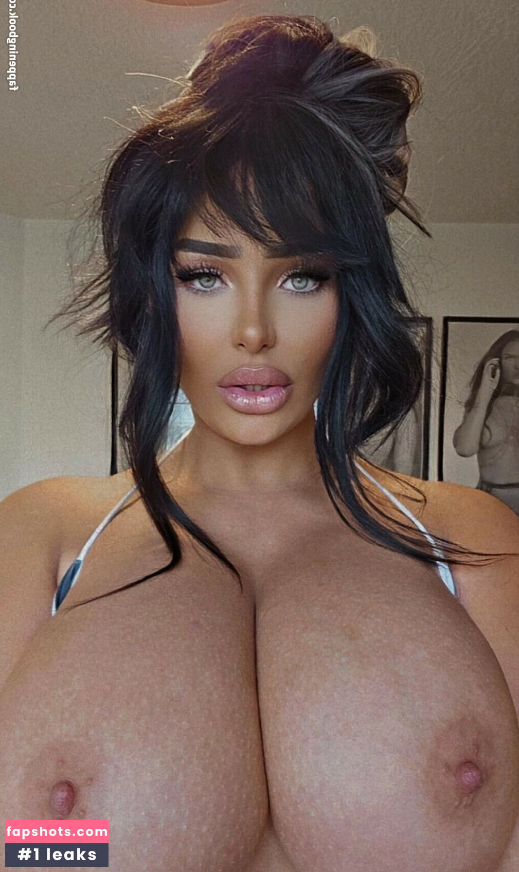 harleygunner gallery photo #21