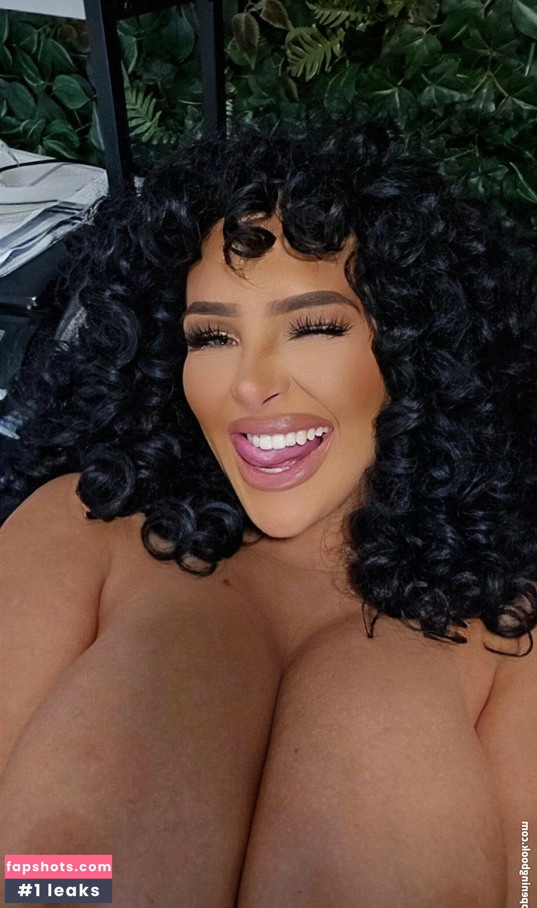 harleygunner gallery photo #27