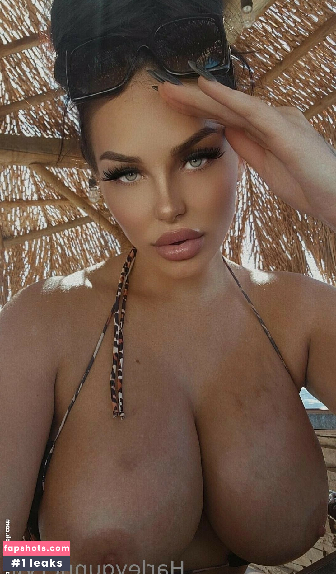 harleygunner gallery photo #38