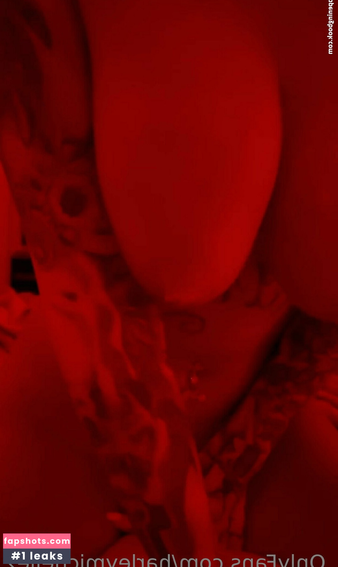 harleymichelle2 gallery photo #3