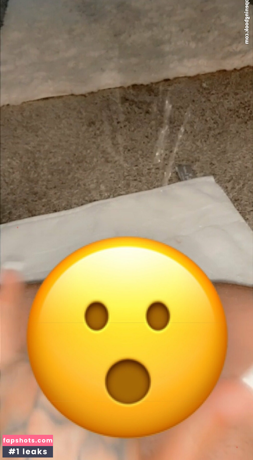 harleymichelle2 gallery photo #10