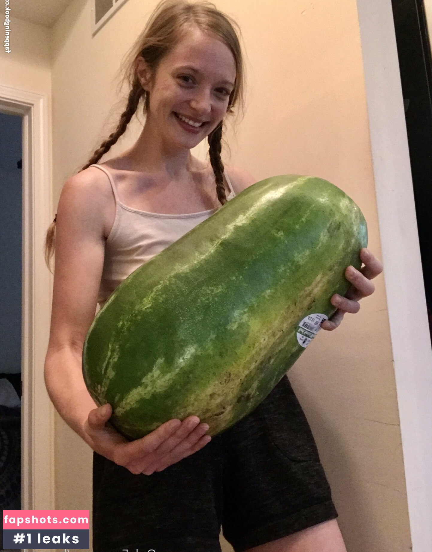 harperlane gallery photo #11