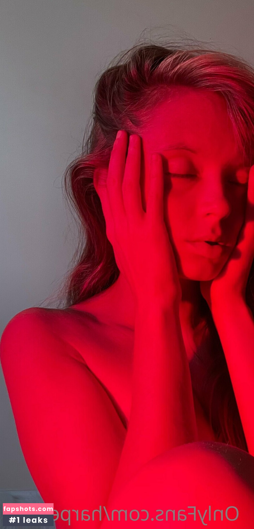 harperlane gallery photo #19