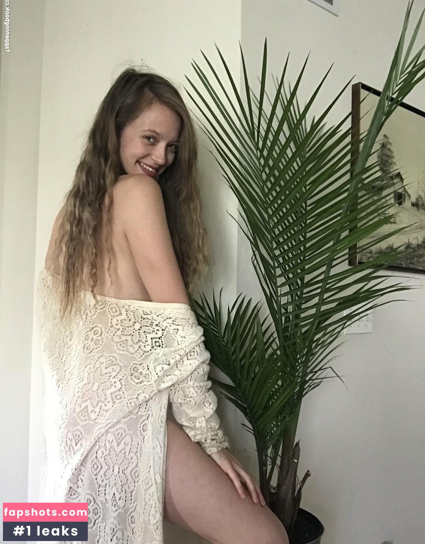 harperlane gallery photo #20