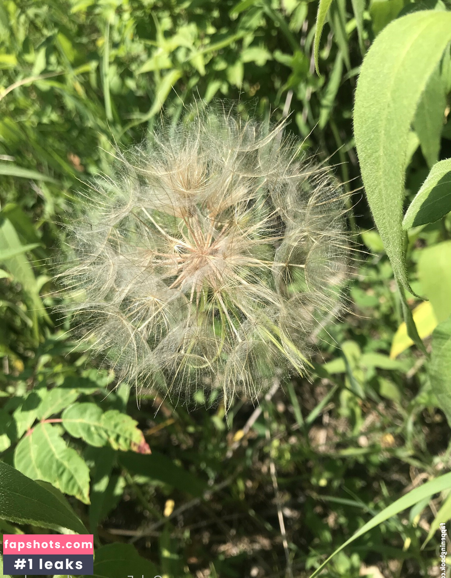 harperlane gallery photo #28