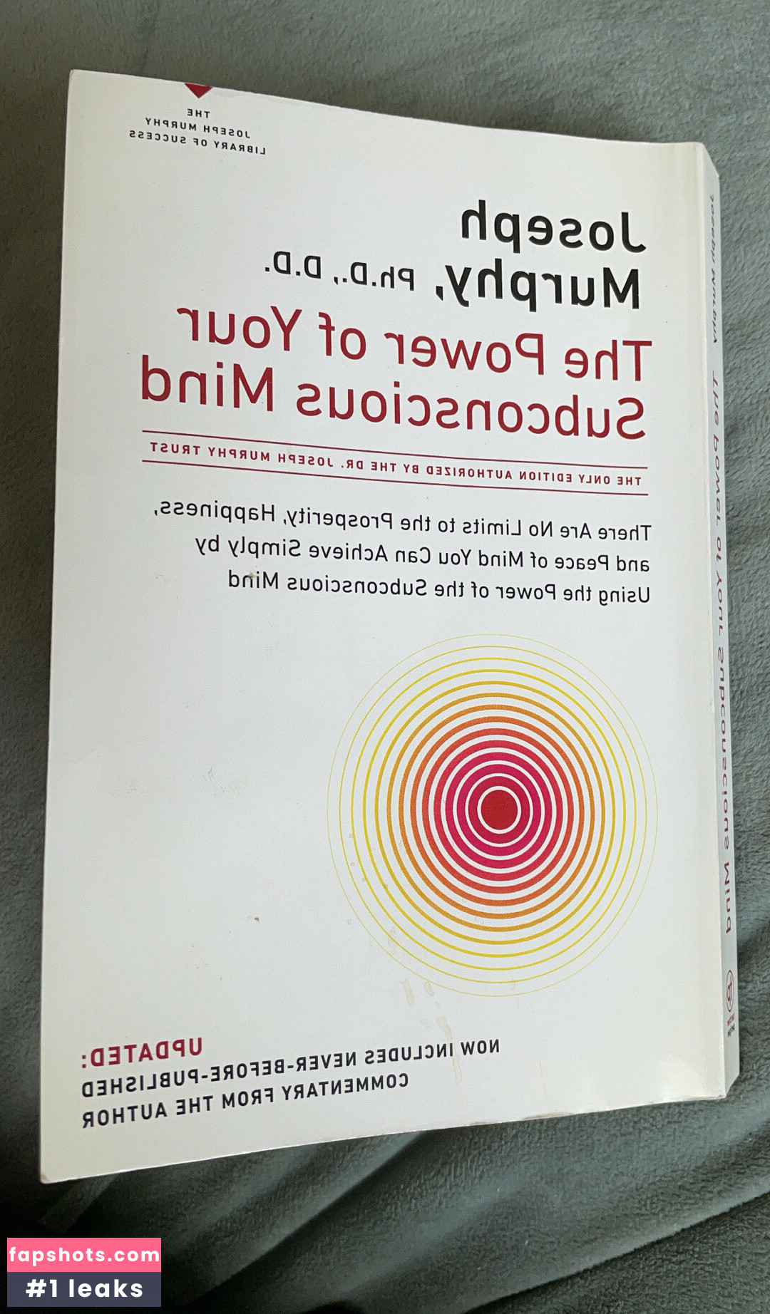 harperlane gallery photo #30