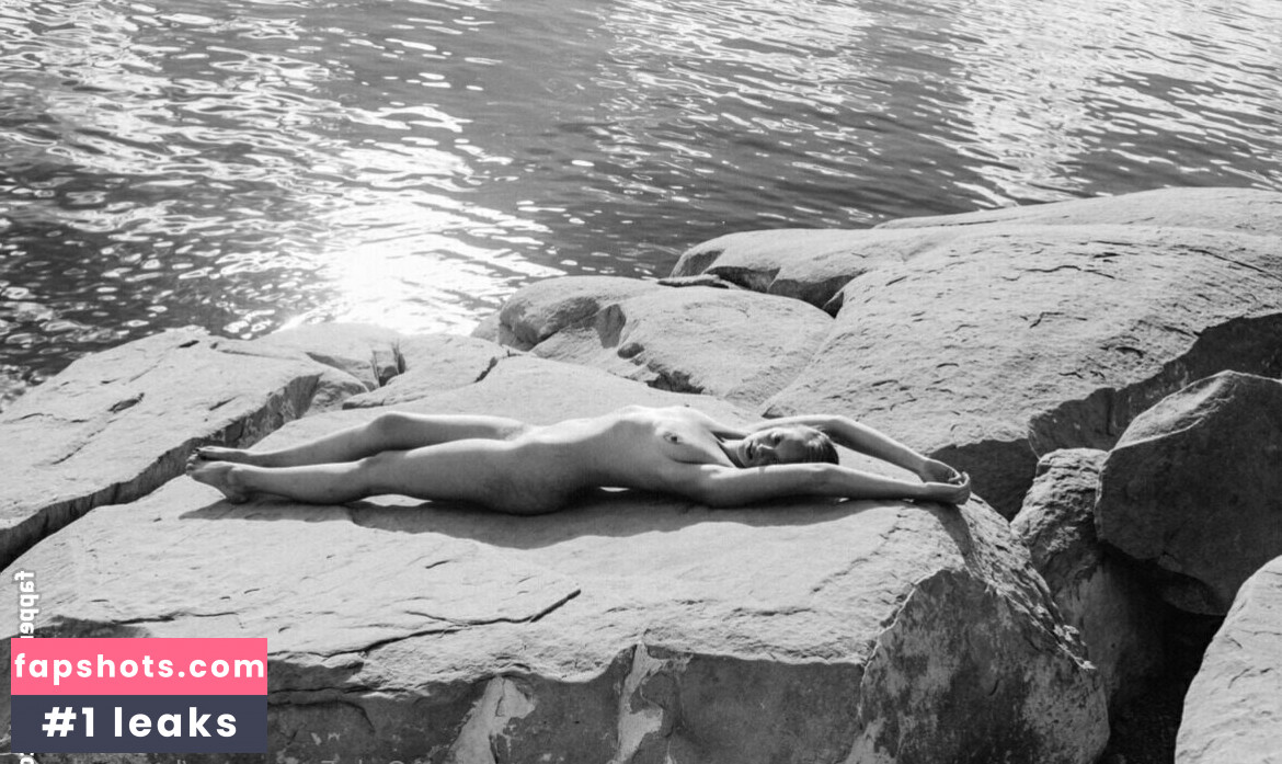 harperlane gallery photo #4