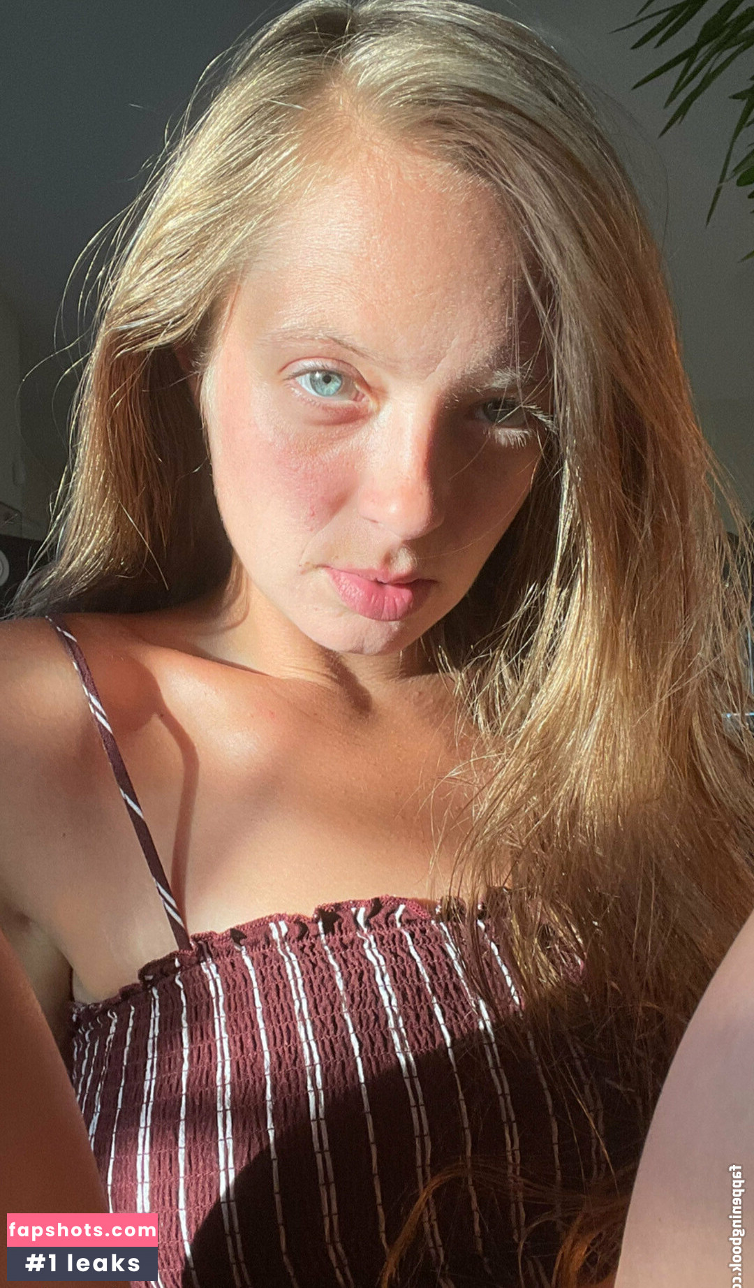 harperlane gallery photo #5