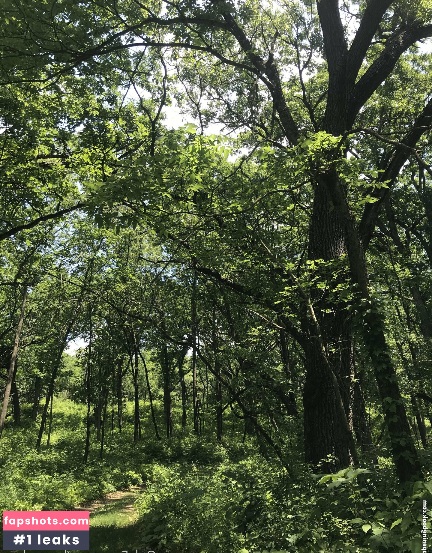 harperlane gallery photo #7