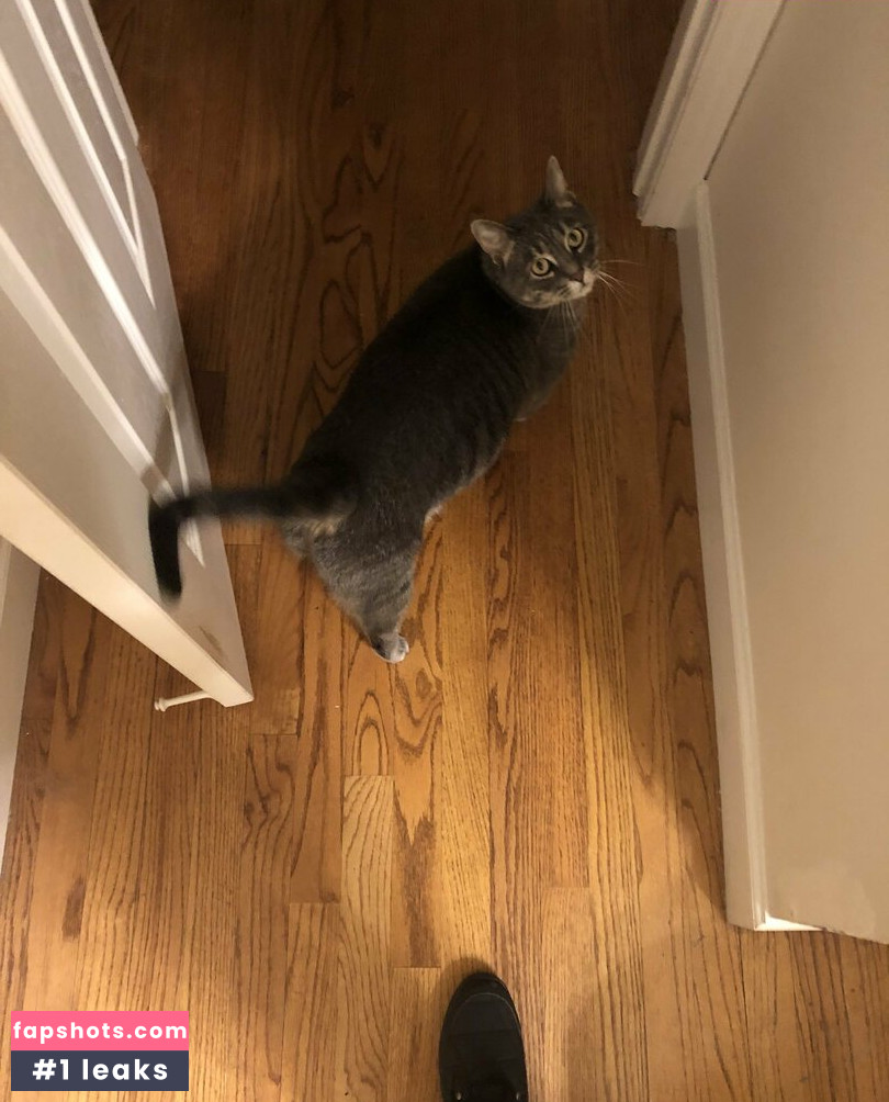 harpermadi_ gallery photo #2561