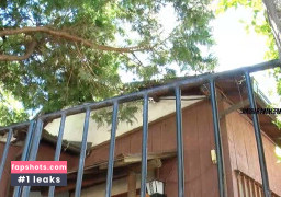 Haruna Hana Nahé úniky fotek pouze od fanoušků #4 - Fapshots