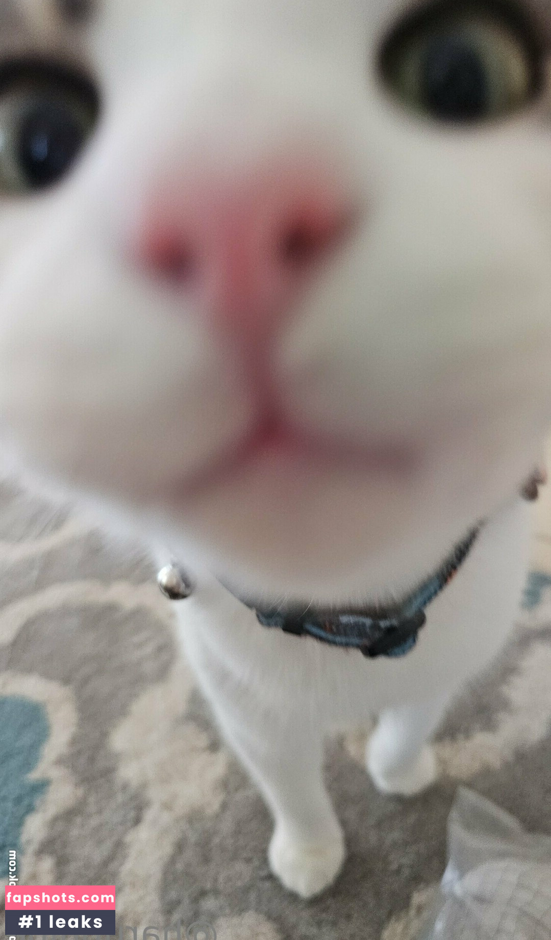 haruphine Nahé úniky fotek pouze od fanoušků #22 - Fapshots