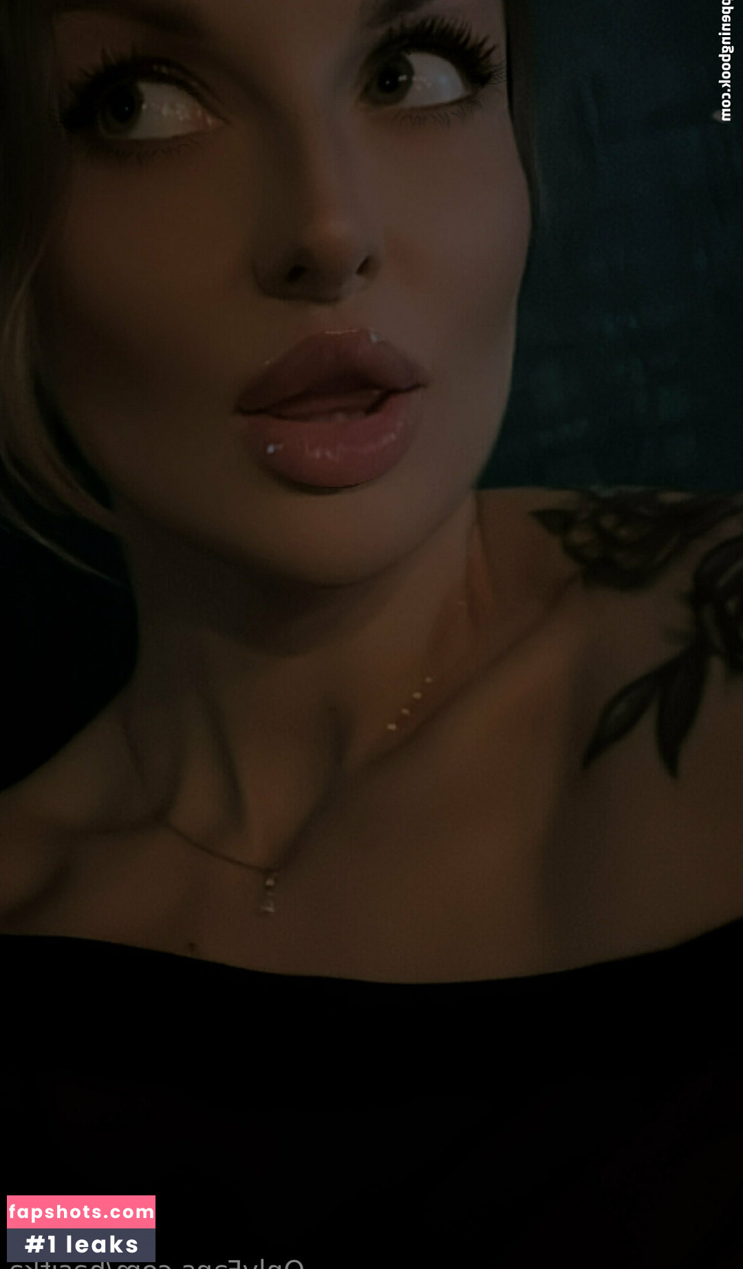 Hasitka_ Nahé úniky fotek pouze od fanoušků #24 - Fapshots