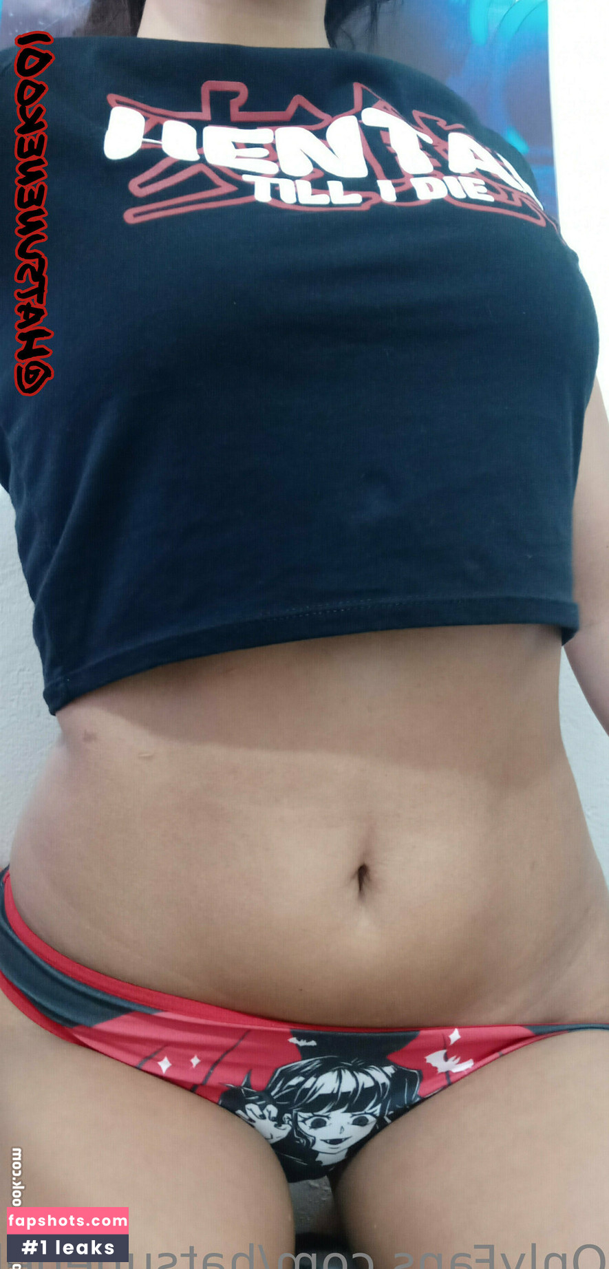 Hatsuneneko01 gallery photo #6