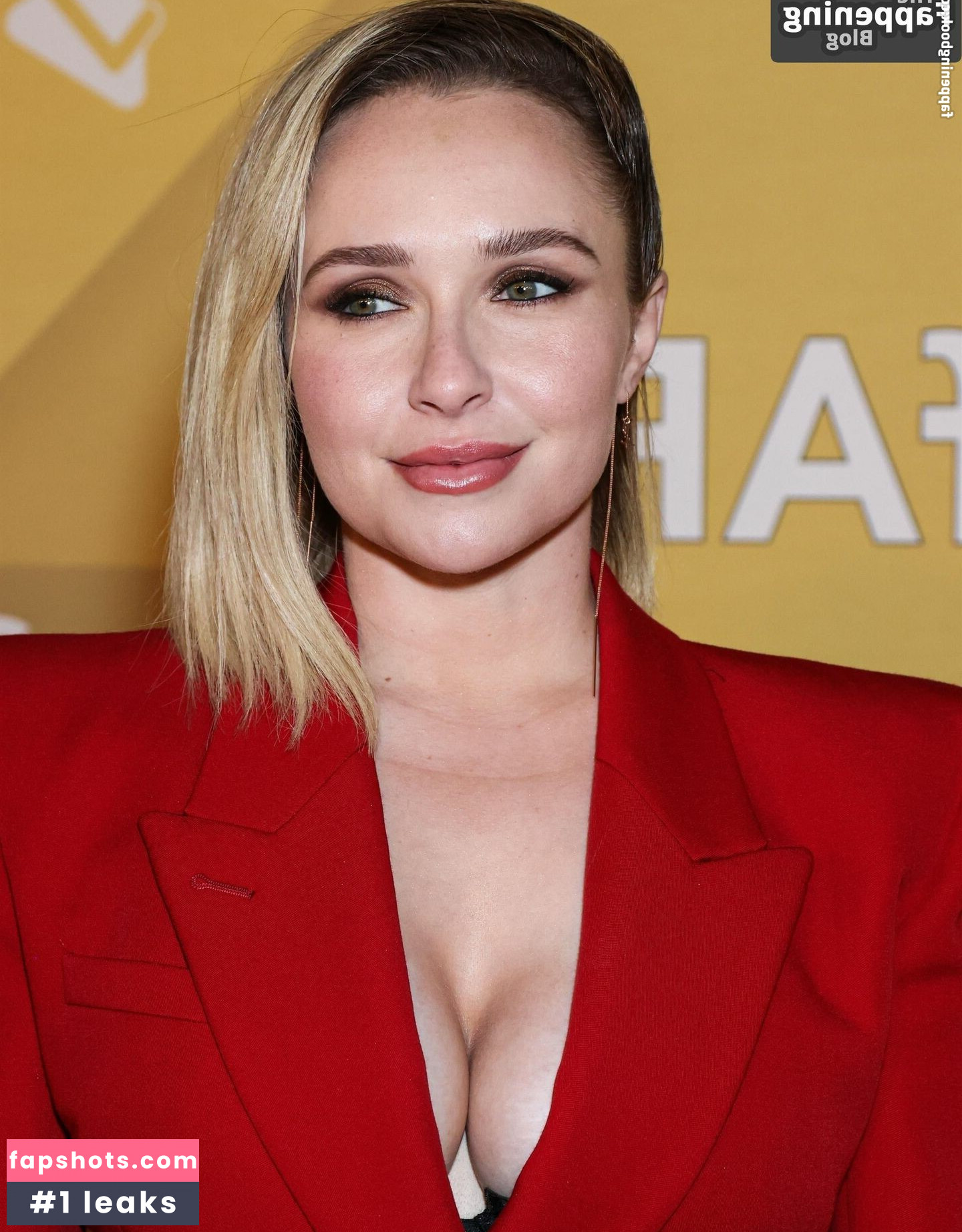 Hayden Panettiere Nacktheit OnlyFans Fotos #129 - Fapshots