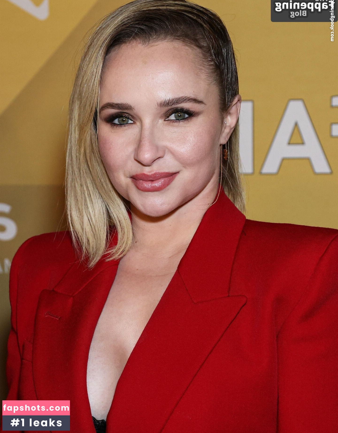 Hayden Panettiere Nacktheit OnlyFans Fotos #144 - Fapshots