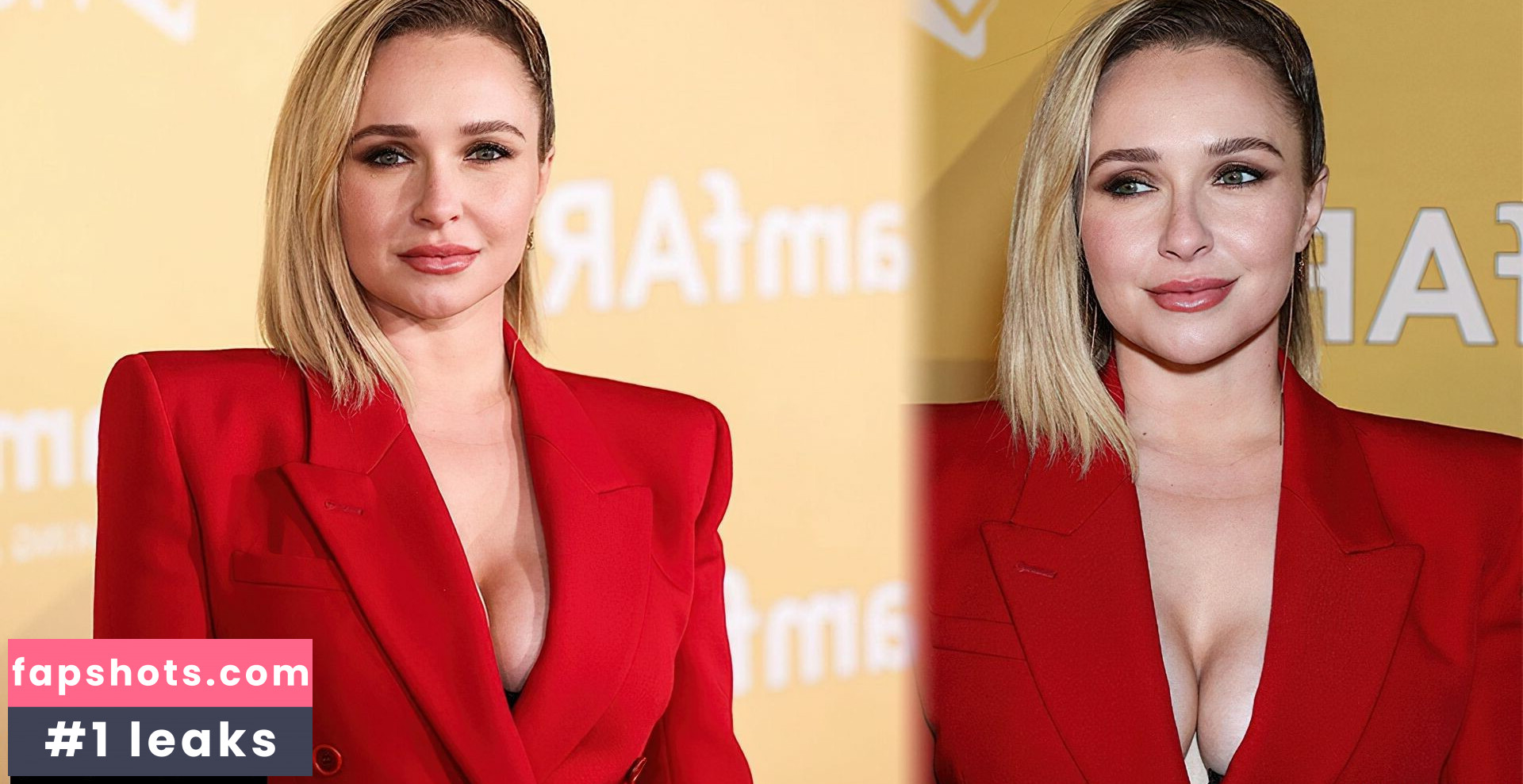 Hayden Panettiere Nacktheit OnlyFans Fotos #158 - Fapshots