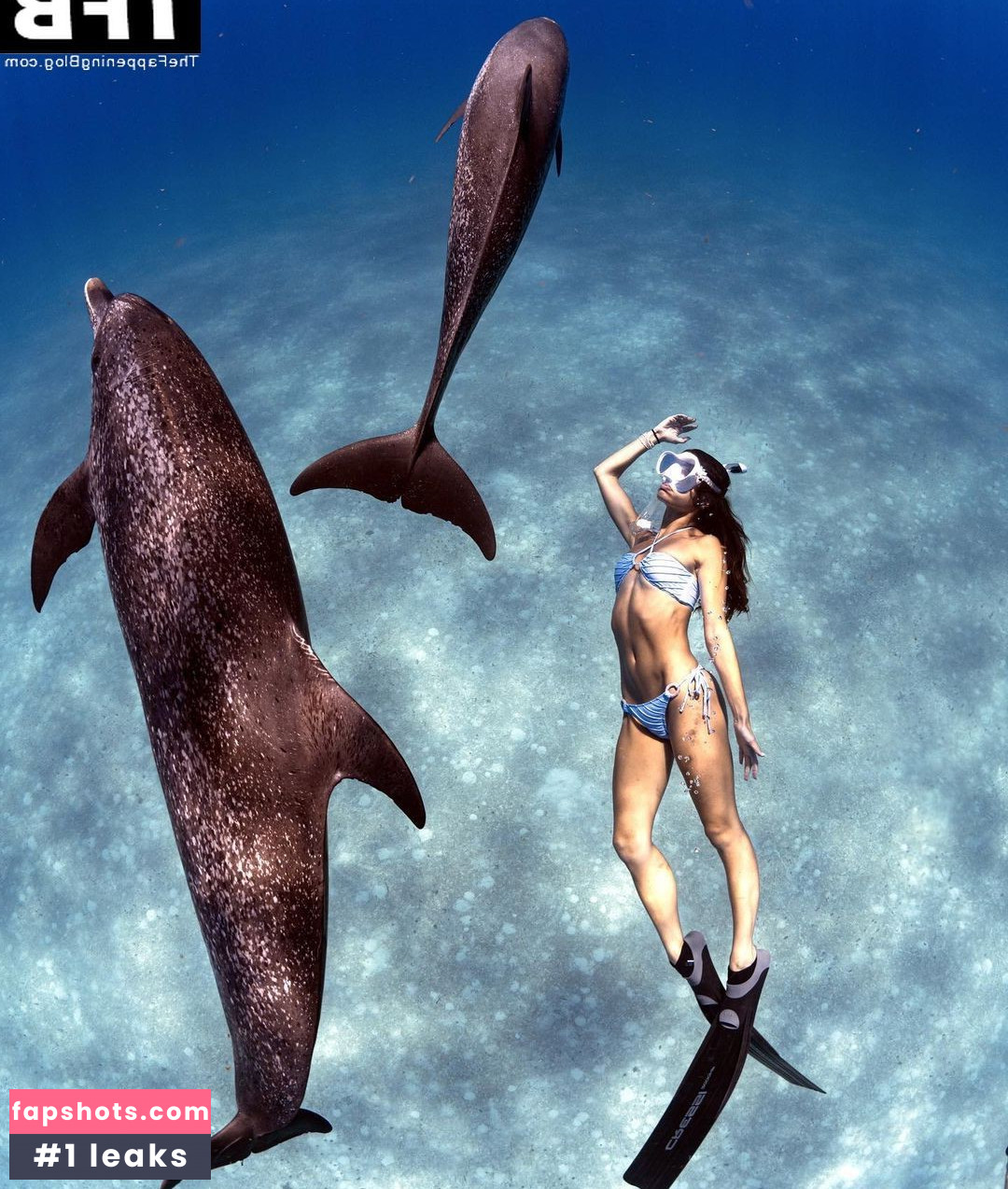 Hayley Erbert gallery photo #16