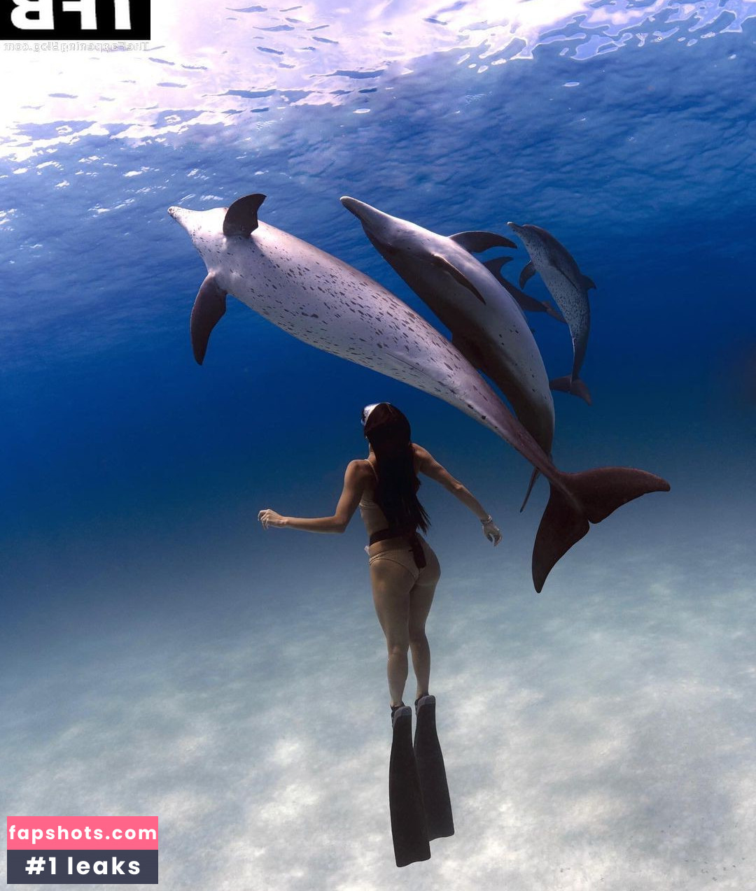 Hayley Erbert gallery photo #17