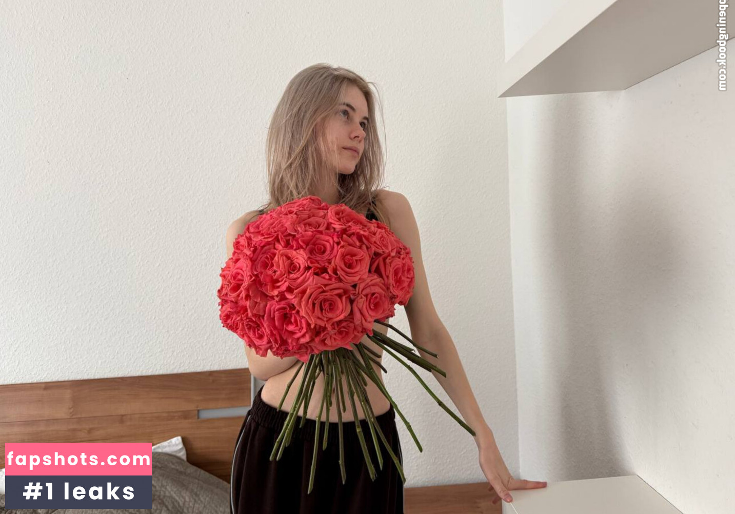 Hefxtom gallery photo #53