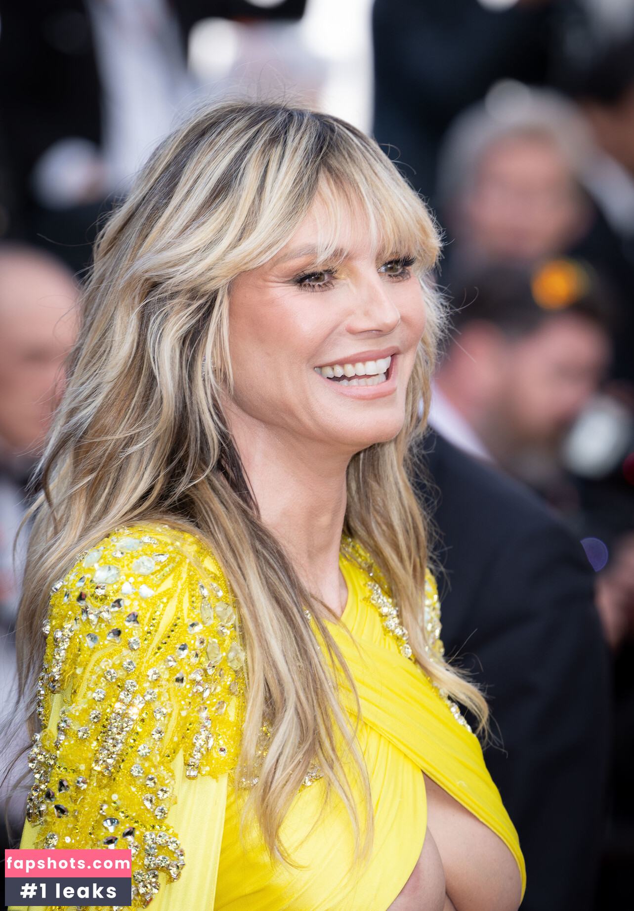 Heidi Klum gallery photo #1928