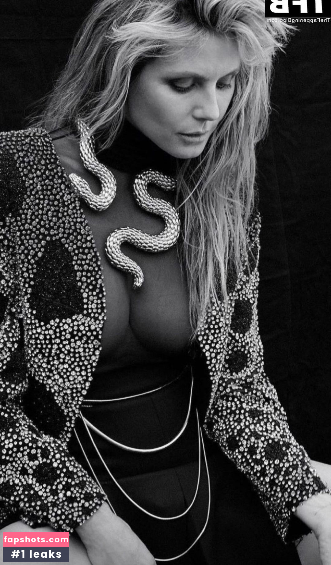 Heidi Klum gallery photo #3681