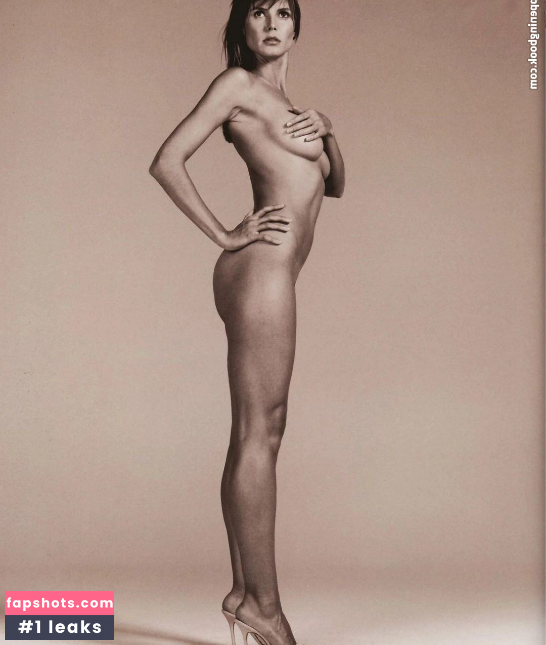 Heidi Klum Nude Leaks OnlyFans Photos #3962 - LeakJerk